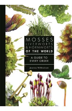 Mosses, Liverworts, and Hornworts of the World: A Guide to Every Order - Joanna Wilbraham