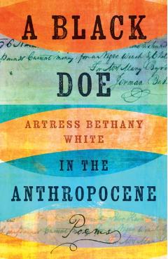 A Black Doe in the Anthropocene: Poems - Artress Bethany White