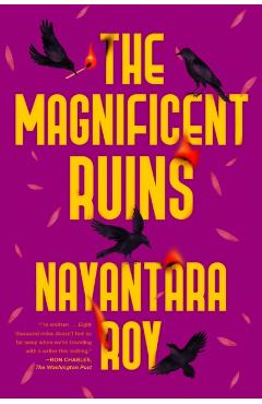 The Magnificent Ruins - Nayantara Roy