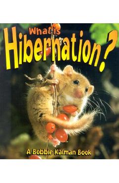 What is Hibernation? - John Crossingham