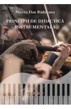eBook Principii de didactica instrumentala - Mircea Dan Raducanu