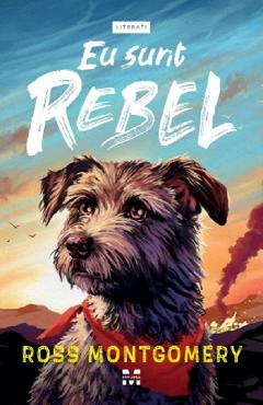 Eu sunt Rebel - Ross Montgomery - PANDORA