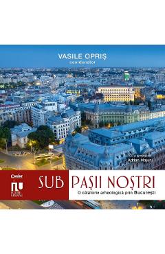 Sub pasii nostri. O calatorie arheologica prin Bucuresti - Vasile Opris
