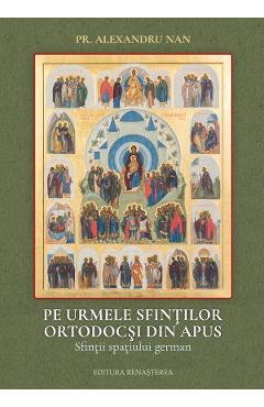 Pe urmele sfintilor ortodocsi din Apus. Sfintii spatiului german - Pr. Alexandru Nan