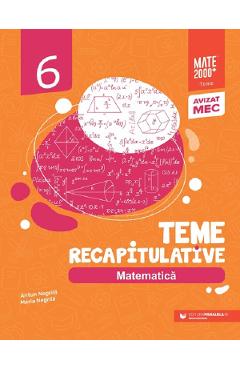 Matematica - Clasa 6 - Teme recapitulative - Anton Negrila, Maria Negrila - PARALELA 45