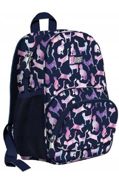 Aceasta este imaginea corespunzatoare acestui obiect