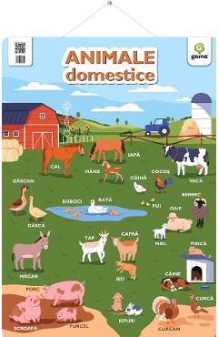 Plansa. Animale domestice - GAMA