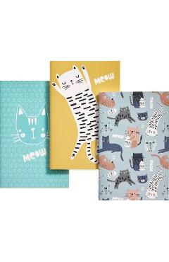 Aceasta este imaginea corespunzatoare acestui obiect