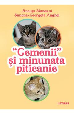 eBook Gemenii si minunata piticanie - Ancuta Manea, Simona-Georgeta Anghel