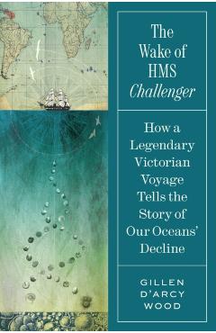 Wake of HMS Challenger - Gillen D’arcy Wood
