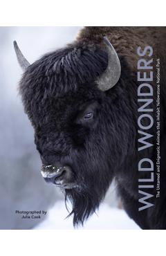 Wild Wonders - Julia Cook