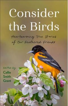 Consider the Birds -