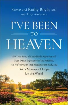 I've Been to Heaven - Steve|boyls Boyls