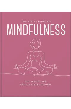 Little Book of Mindfulness -