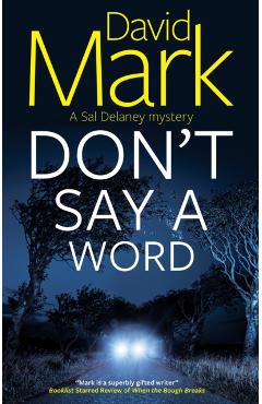 Don't Say a Word - David Mark