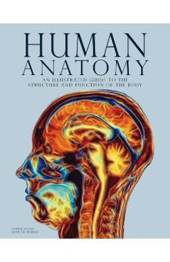 Human Anatomy -