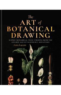 Art of Botanical Painting