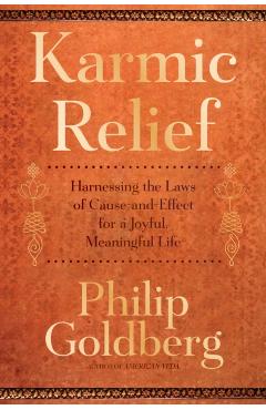 Karmic Relief: Harnessing the Laws of Cause and Effect for a Joyful, Meaningful Life - Philip Goldberg