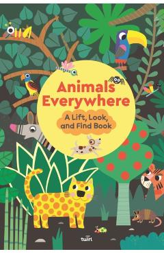 Animals Everywhere: A Lift, Look, and Find Book - Stéphanie Babin
