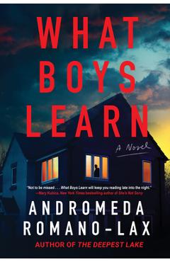 What Boys Learn - Andromeda Romano-lax