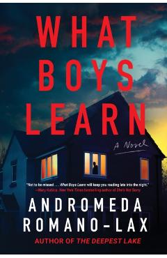 What Boys Learn - Andromeda Romano-lax