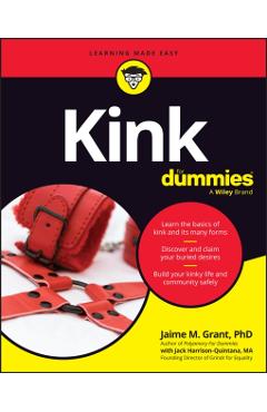 Kink for Dummies - Jaime M. Grant