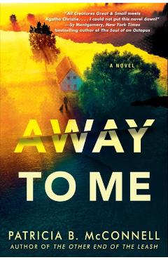 Away to Me - Patricia B. Mcconnell