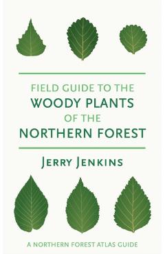 Field Guide to the Woody Plants of the Northern Forest - Jerry Jenkins