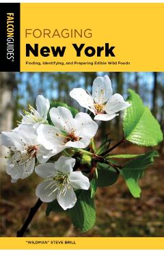 Foraging New York - - Imagine 1