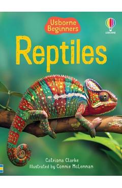 Reptiles - Catriona Clarke