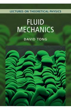 Fluid Mechanics: Volume 4: Lectures on Theoretical Physics