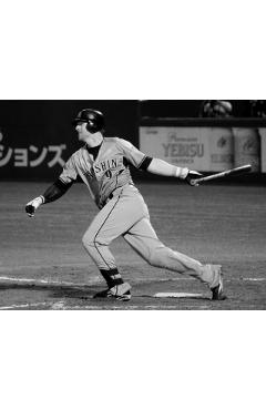 In the Japanese Ballpark: Behind the Scenes of Nippon Professional Baseball - Robert K. Fitts