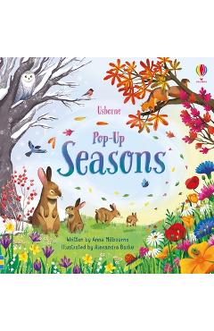 Pop-Up Seasons - Anna Milbourne - Imagine 1