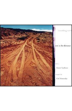 Something Out There in the Distance - Grant Faulkner