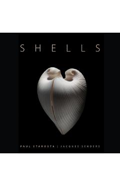 Shells - Paolo Portoghesi