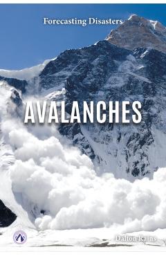 Avalanches - Dalton Rains - Imagine 1