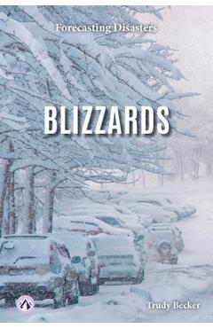 Blizzards - Trudy Becker - Imagine 1