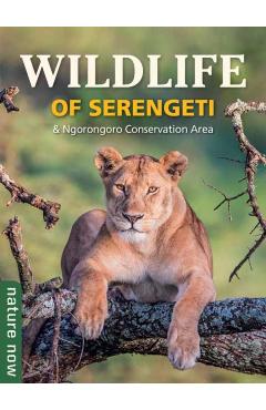 Wildlife of Serengeti & Ngorongoro Conservation Area - Jean Du Plessis