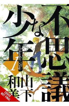 Wonder Boy, Vol. 1 - Kazumi Yamashita