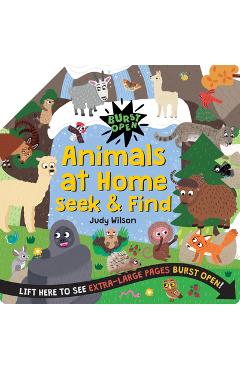 Animals at Home Seek & Find - Judy Wilson