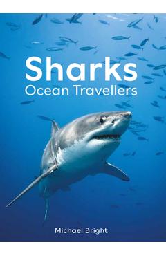 Sharks: Ocean Travellers - Michael Bright - Imagine 1