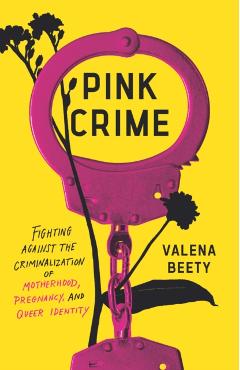 Pink Crime: Fighting Against the Criminalization of Motherhood, Pregnancy, and Queer Identity - Valena Beety