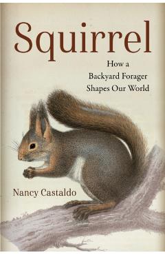 Squirrel: How a Backyard Forager Shapes Our World - Nancy Castaldo