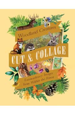 Cut & Collage Woodland Creatures - - Imagine 1