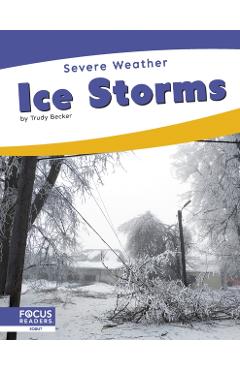 Ice Storms - Trudy Becker