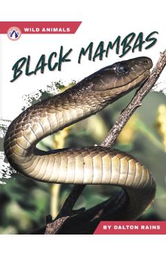 Black Mambas