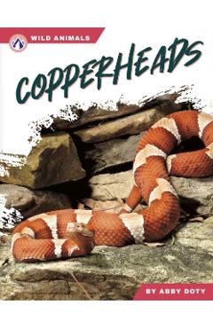 Copperheads - Abby Doty - Imagine 1
