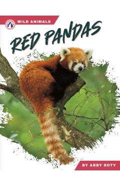 Red Pandas - Abby Doty