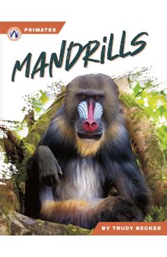 Mandrills