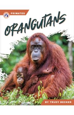 Orangutans - Trudy Becker
